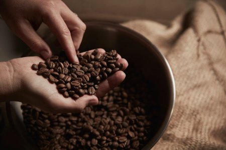 storia-del-caffe-nascita-della-bevanda-piu-amata-al-mondo